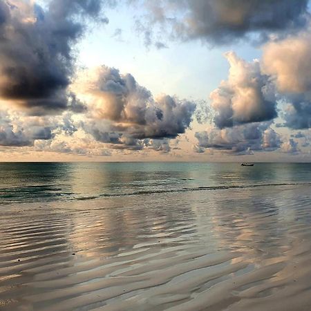 Your Zanzibar Place Paje Ngoại thất bức ảnh