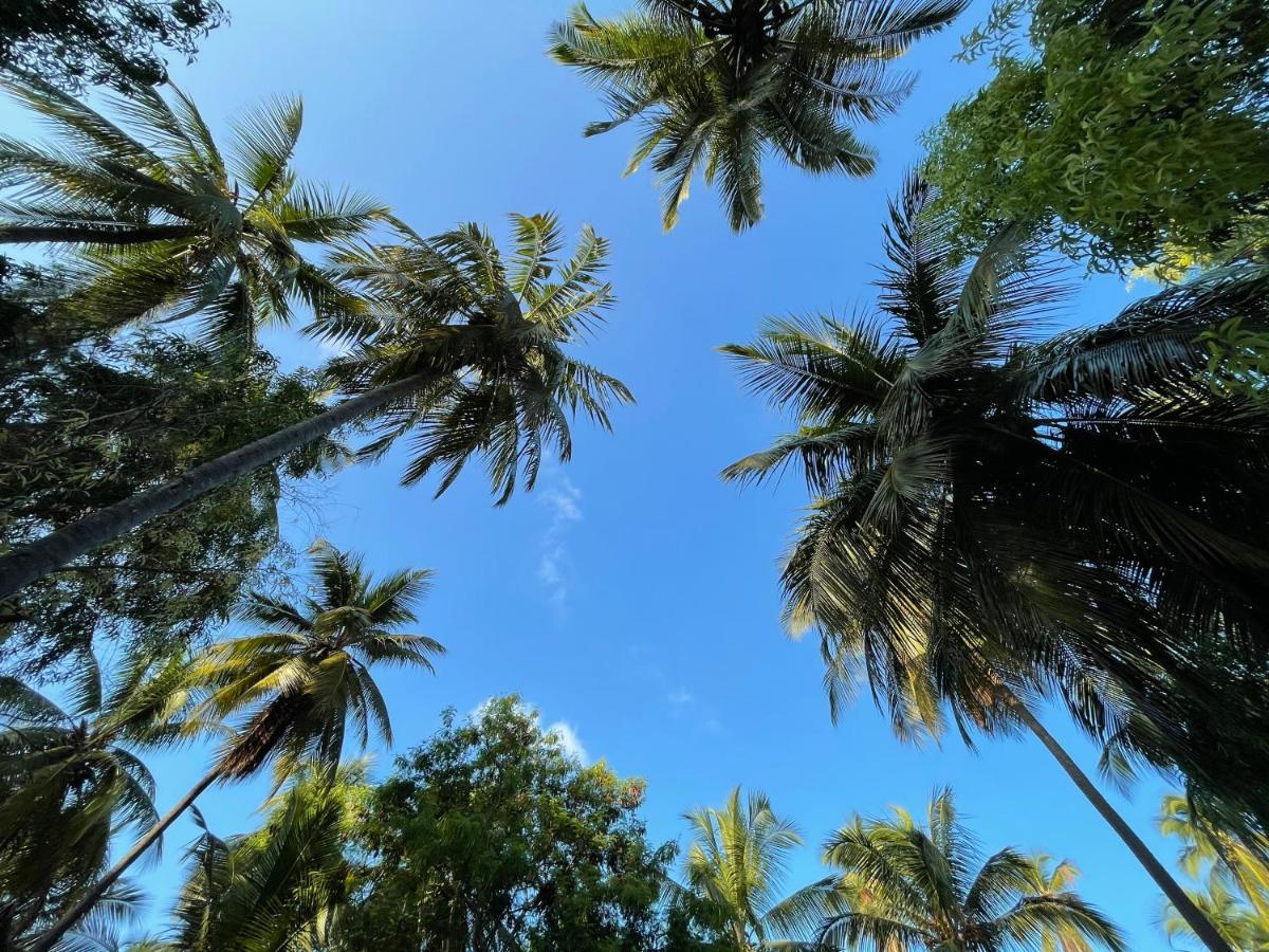 Your Zanzibar Place Paje Ngoại thất bức ảnh