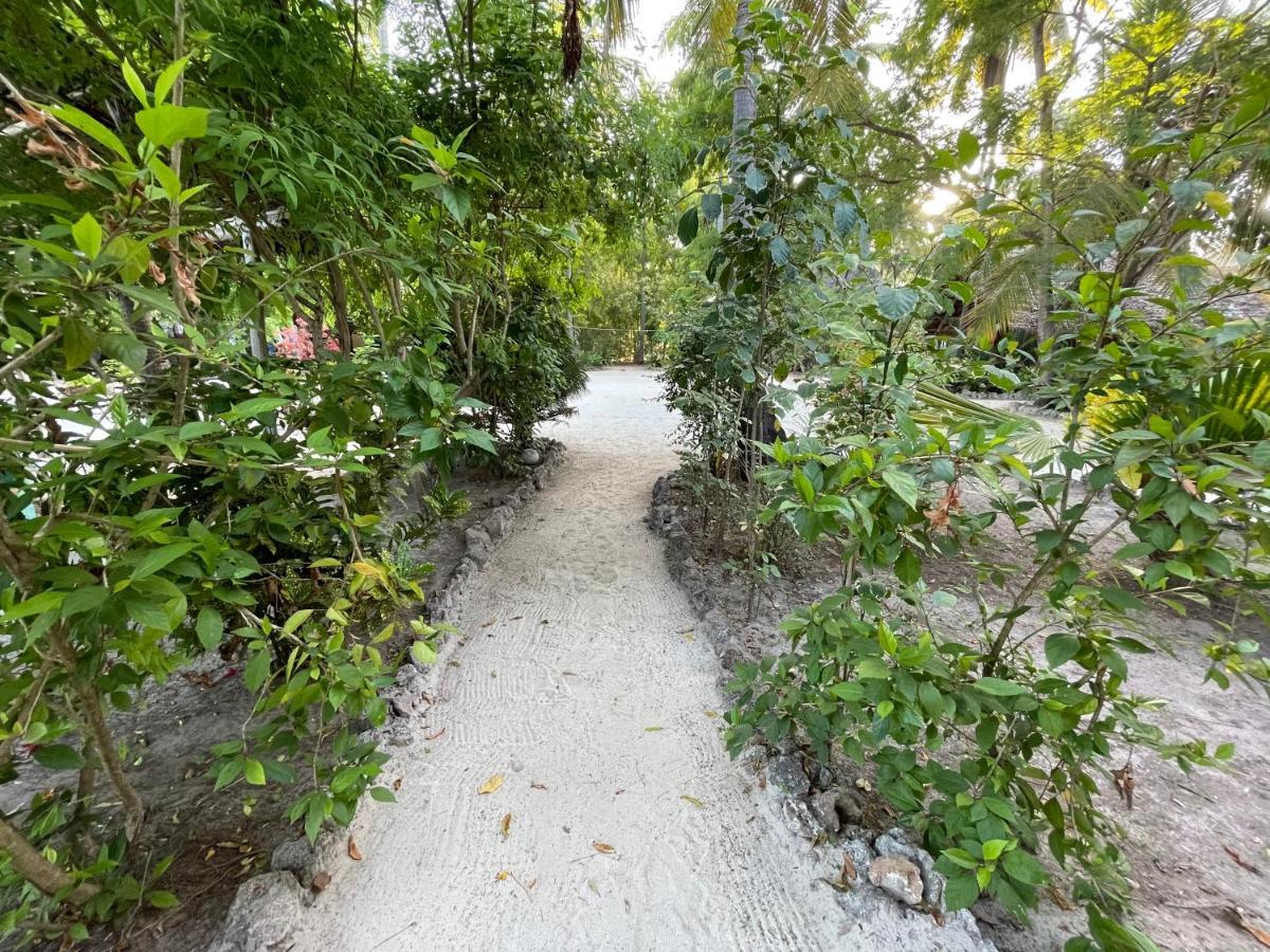 Your Zanzibar Place Paje Ngoại thất bức ảnh
