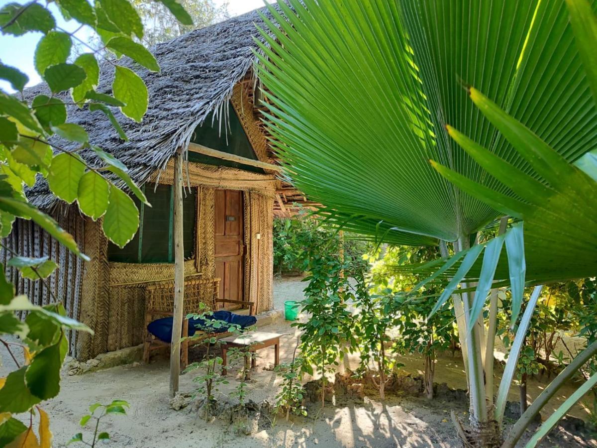 Your Zanzibar Place Paje Ngoại thất bức ảnh