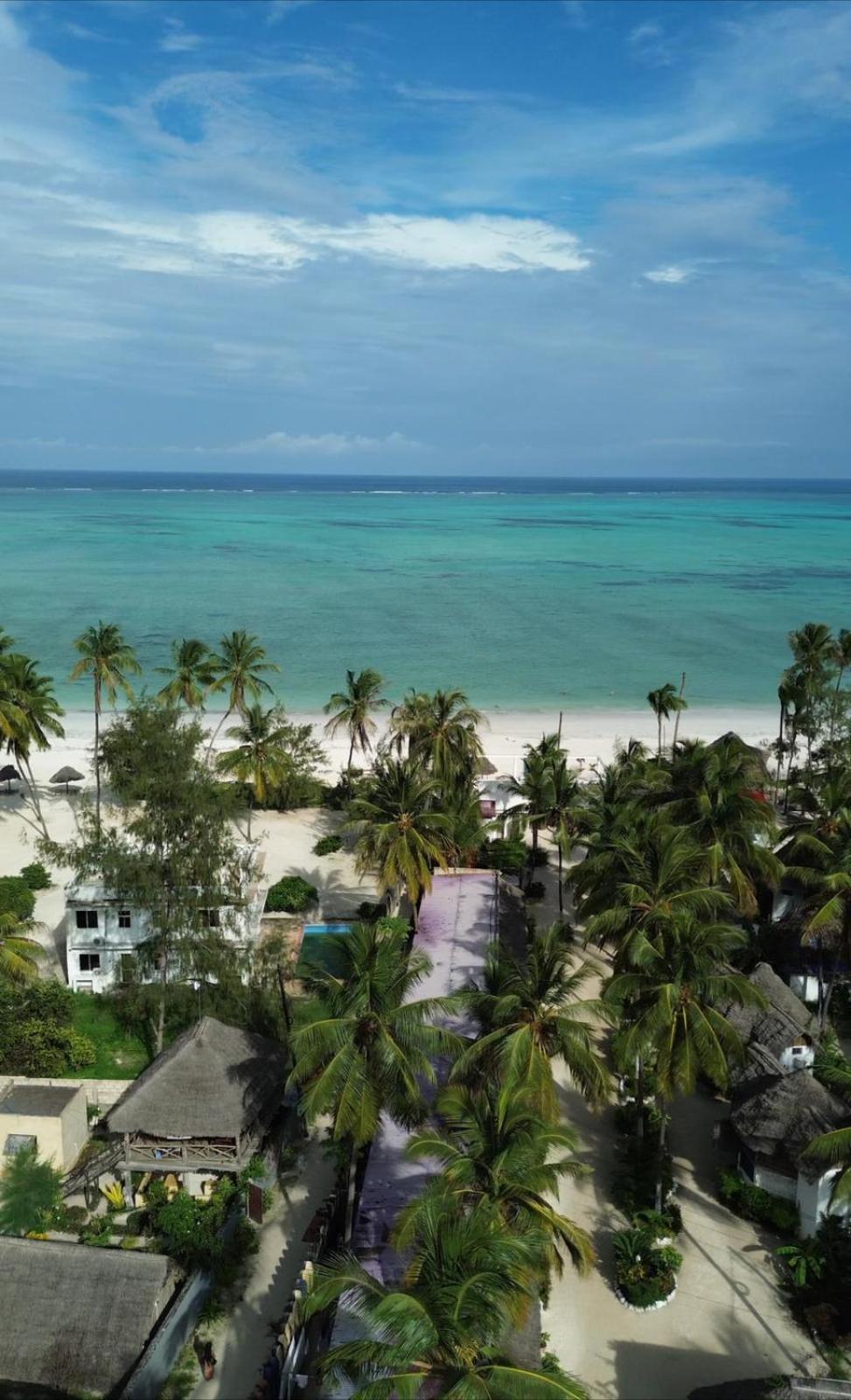 Your Zanzibar Place Paje Ngoại thất bức ảnh