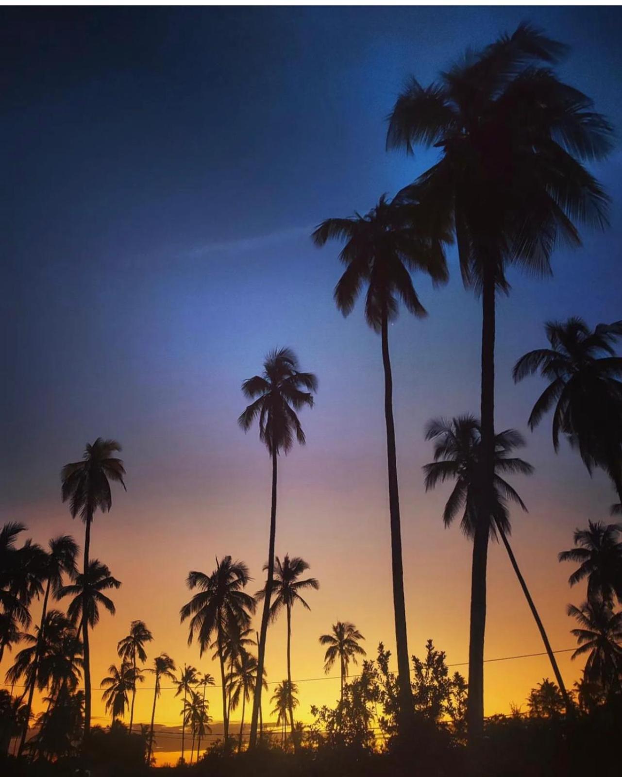 Your Zanzibar Place Paje Ngoại thất bức ảnh