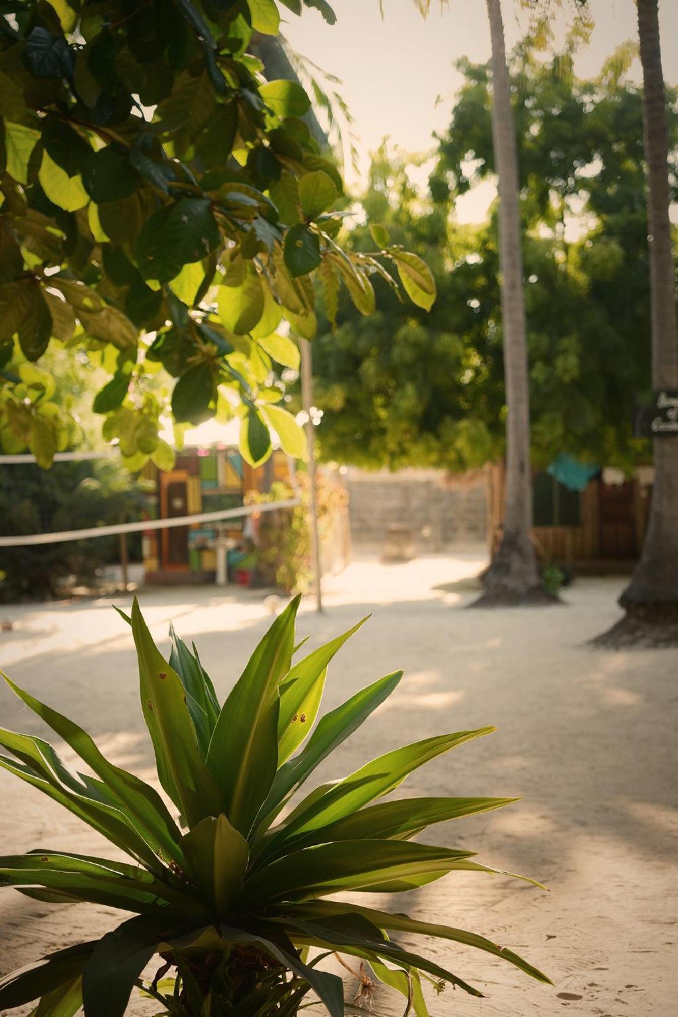 Your Zanzibar Place Paje Ngoại thất bức ảnh